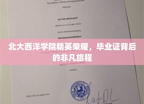 北大西洋学院骄子荣耀，毕业证书背后的辉煌征程