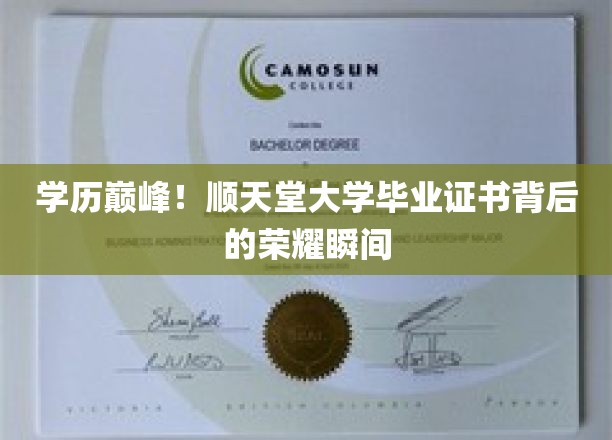 学历巅峰！顺天堂大学毕业证书背后的荣耀瞬间