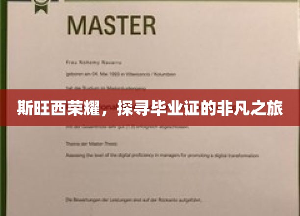 斯旺西传奇，毕业证书背后的非凡征途