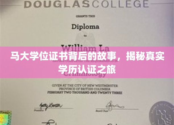 探寻马大文凭背后的奥秘，一场学历认证的传奇之旅