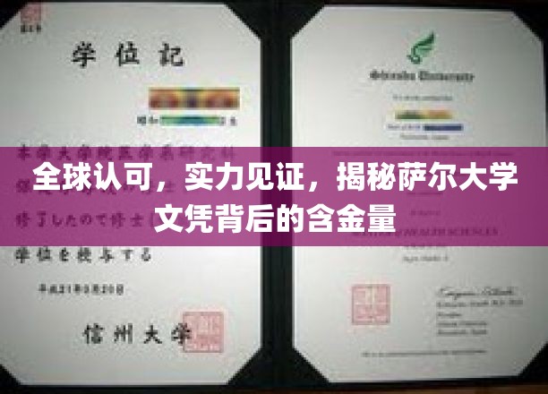 全球认可，实力见证，揭秘萨尔大学文凭背后的含金量
