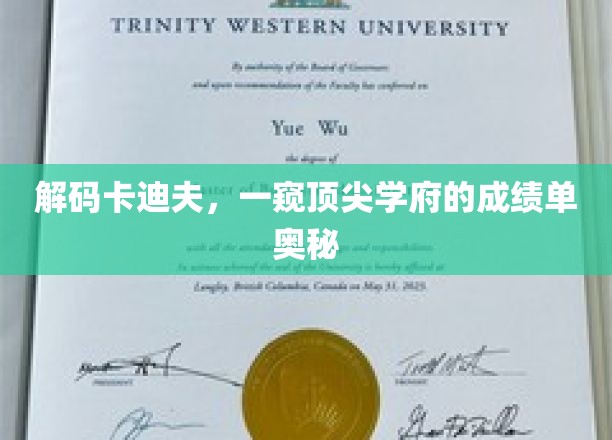 解码卡迪夫，一窥顶尖学府成绩单的奥秘