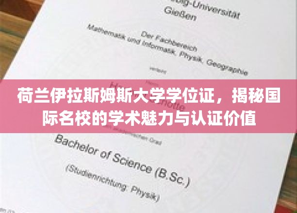 荷兰伊拉斯姆斯大学学位证，揭秘国际名校的学术魅力与认证价值