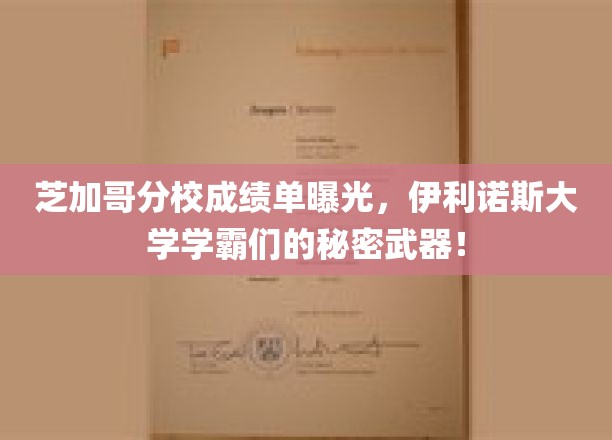 伊利诺伊大学芝加哥分校成绩单曝光，学霸们的秘密武器！