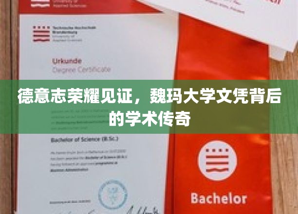 德意志荣耀见证，魏玛大学文凭背后的学术传奇