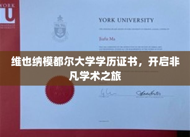 维也纳莫德尔大学学历证书，开启非凡学术之旅