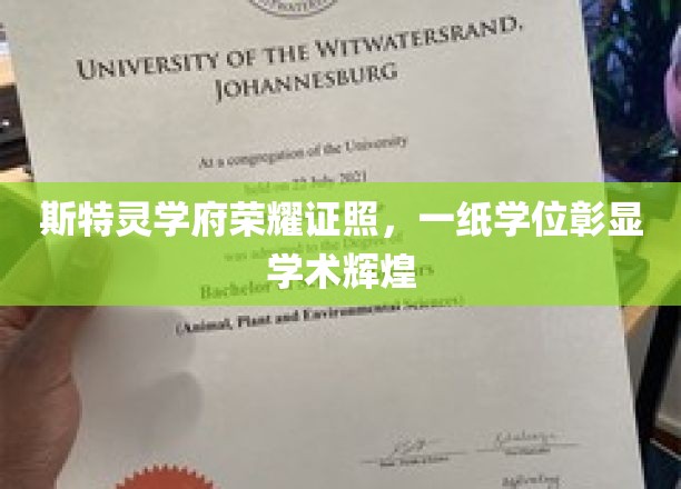 斯特灵学府荣耀加冕，学位证书见证学术巅峰成就