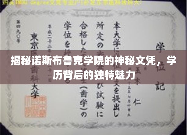 揭秘诺斯布鲁克学院的神秘文凭，探寻学历背后的独特魅力