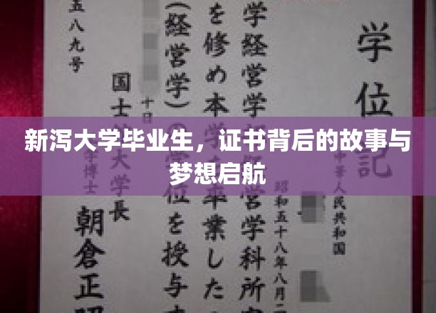新泻才子毕业证背后的追梦篇章