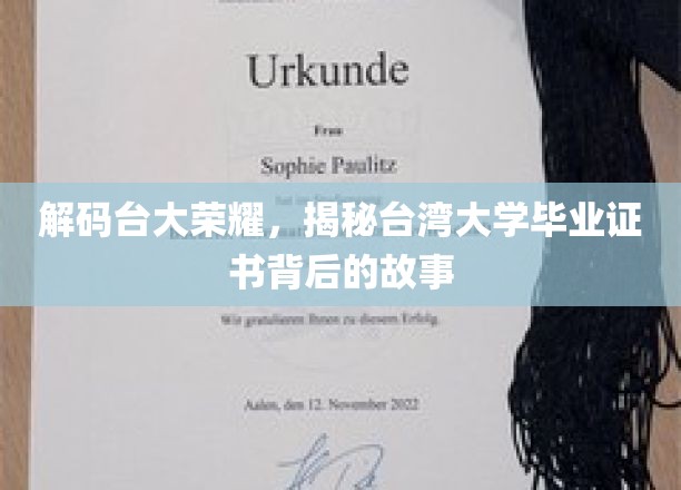 解码台大荣耀，揭秘台湾大学毕业证书背后的故事
