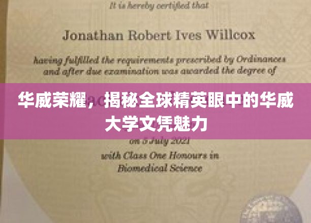 华威大学，全球精英眼中的黄金文凭，揭秘其独特魅力所在