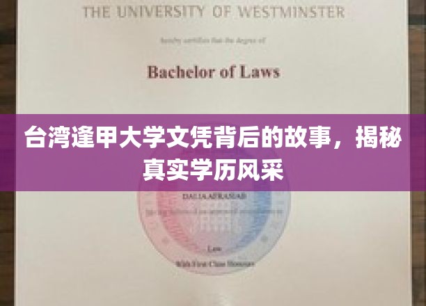 台湾逢甲大学文凭背后的故事，揭秘真实学历风采
