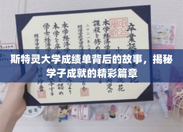 斯特灵学子辉煌足迹，揭秘成绩单背后的不凡历程