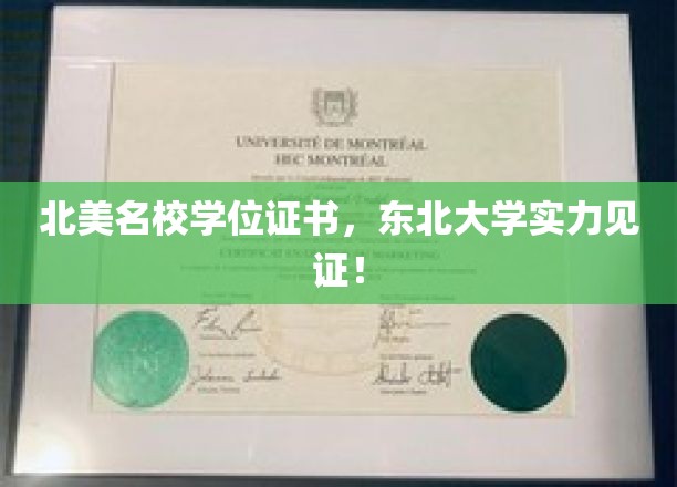 东北大学荣耀加冕，北美名校学位，实力认证新篇章！