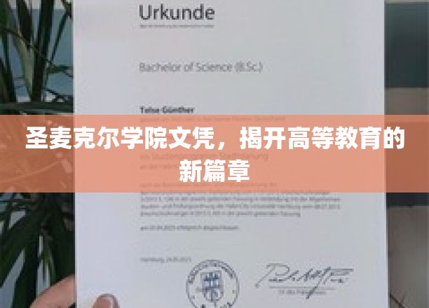 圣麦克尔学院文凭，引领教育革新浪潮