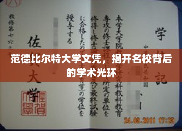 名校光环背后的秘密，范德比尔特大学文凭揭秘