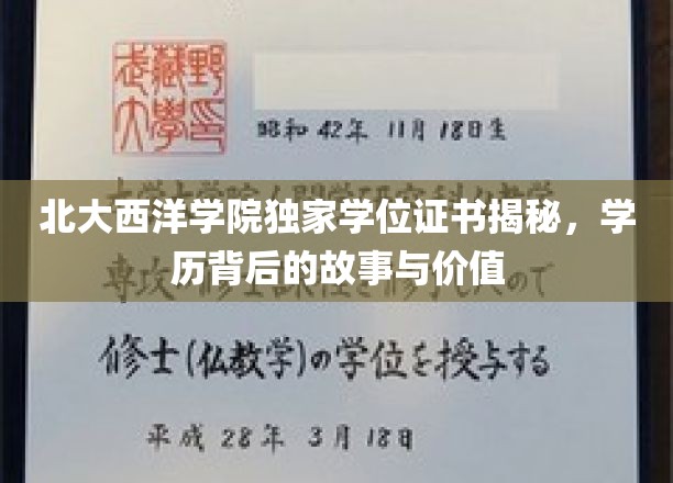 北大西洋学院学位证书背后，探寻精英教育的真实力量
