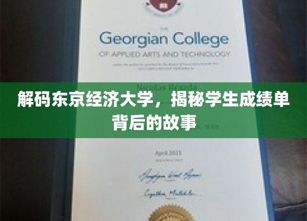探寻东京经济大学成绩单背后的精彩篇章