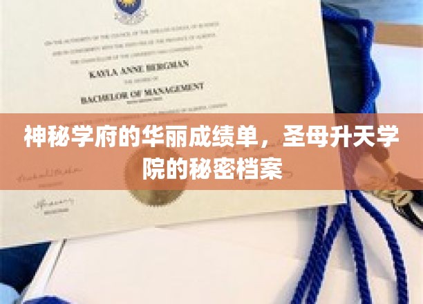 揭秘圣母升天学院的非凡成就，一场学术奇迹的幕后风云