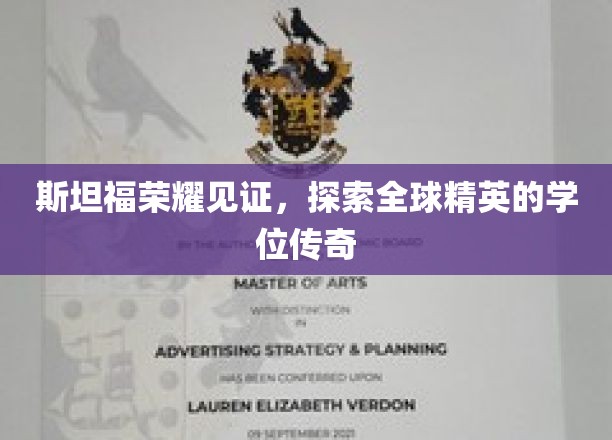 斯坦福传奇学位，揭秘全球精英背后的荣耀之路