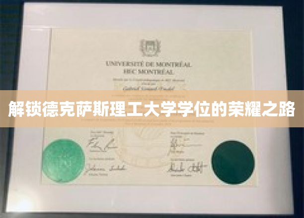 德克萨斯理工梦想启航，探寻荣耀学位的秘密之门