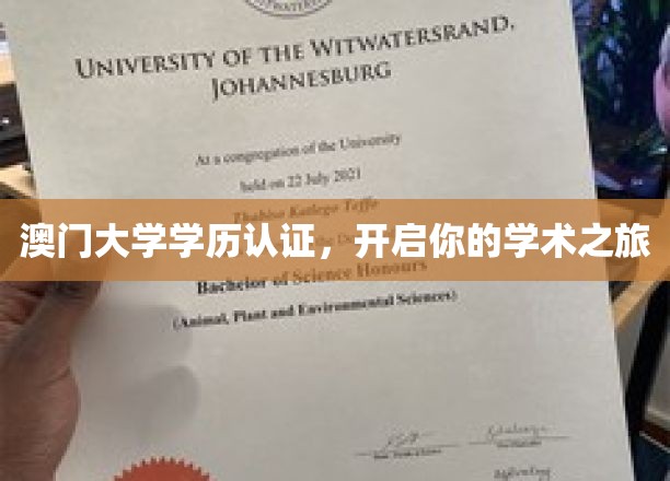 澳门大学学位认证，助你踏上学术巅峰之旅