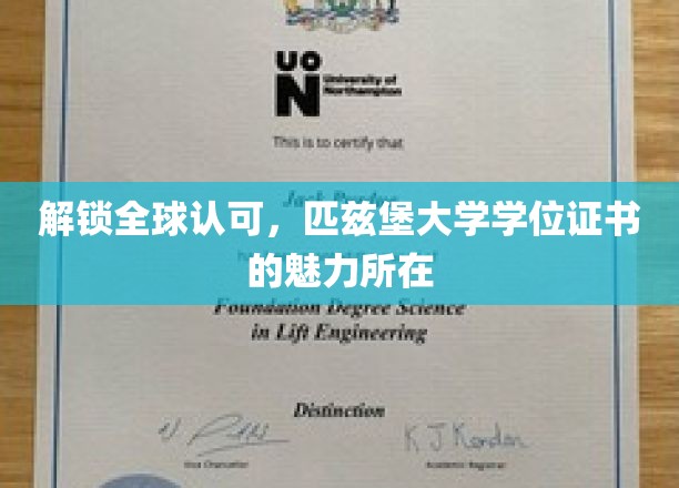 全球通行证，匹兹堡大学学位证书的非凡魅力揭秘