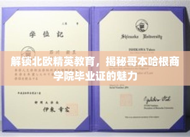 探秘北欧精英教育，揭秘哥本哈根商学院毕业证书的独特魅力