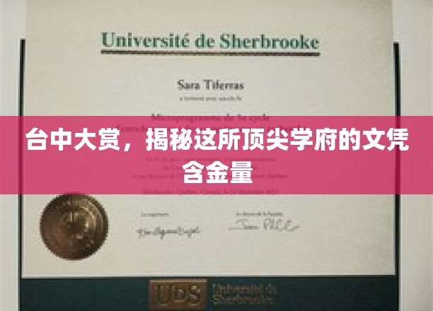 台中大赏揭晓，揭秘顶尖学府文凭的耀眼价值