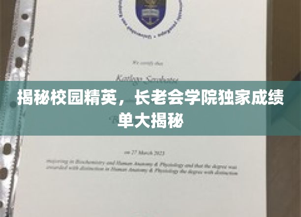解码长老会学院，揭秘学霸风云榜的秘密档案