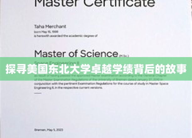 解码东北大学辉煌学术成就的秘密花园