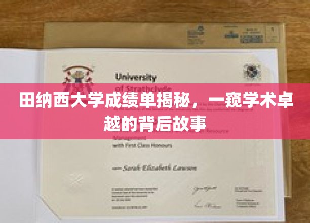 田纳西大学成绩单揭秘，一窥学术卓越背后的故事
