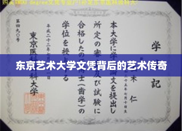 东京艺术大学文凭背后的艺术传奇