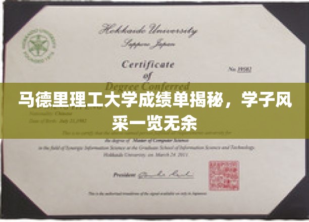 马德里理工大学学子风采大揭秘，一纸成绩单见证卓越成长
