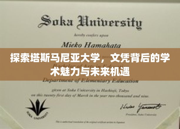 解码塔大荣耀，文凭背后揭秘学术瑰宝与无限前景