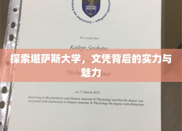 解锁堪萨斯大学，文凭之光下的实力与风采