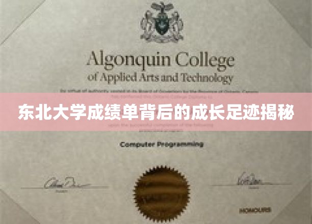 东北大学学子蜕变之旅，揭秘成绩单背后的青春印记