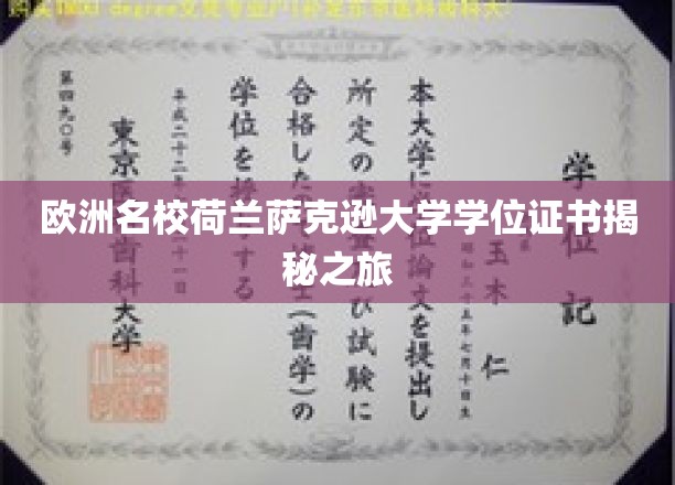 欧洲名校荷兰萨克逊大学学位证书揭秘之旅