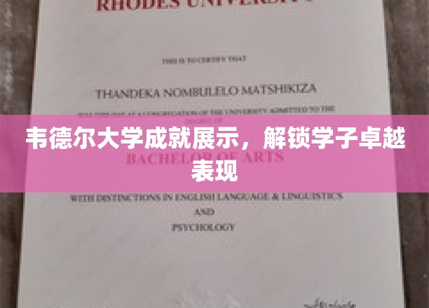 韦德尔大学学子风采大揭秘，非凡成就展翅翱翔