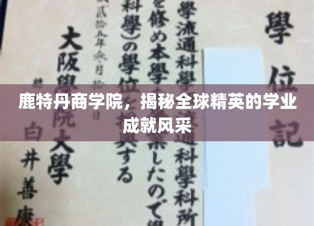 鹿特丹商学院，国际精英学子卓越成就展翅时刻