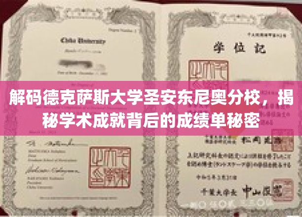 探寻德克萨斯大学圣安东尼奥分校，揭开学霸背后的成绩单之谜