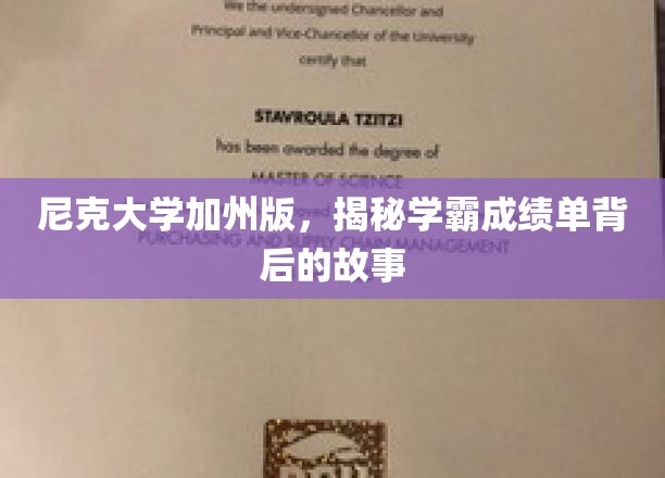 尼克大学加州传奇，揭秘学霸背后的秘密与努力
