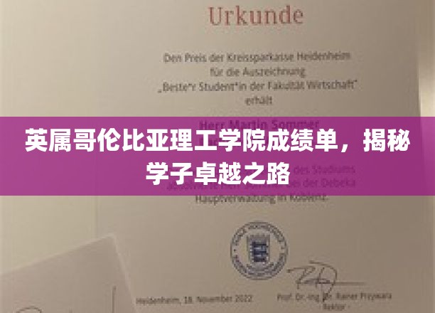 解码卓越，英属哥伦比亚理工学院学子成就背后的秘密