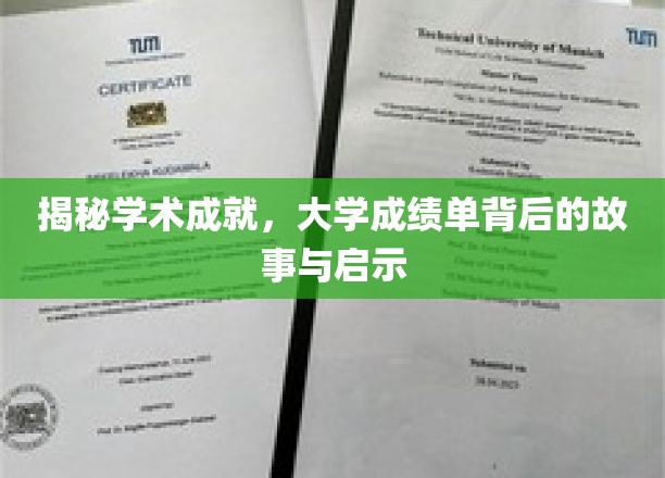 揭秘学术成就，大学成绩单背后的故事与启示