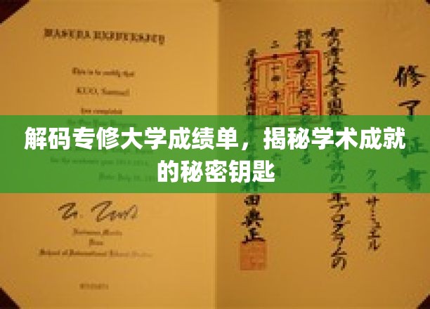 揭开成绩单背后的学术密码，专修大学成就解锁攻略