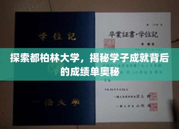 解码都柏林学子辉煌，揭秘卓越背后的学术秘籍