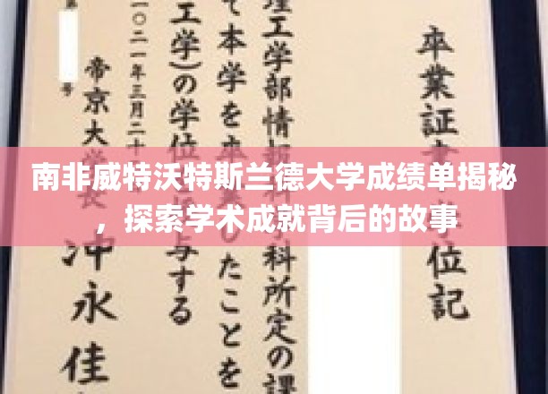 解码威特沃特斯兰德大学成绩单，揭开学术辉煌背后的传奇故事