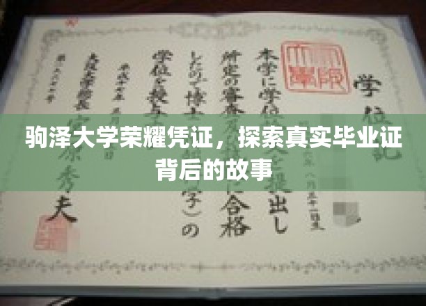 驹泽大学毕业证之谜，揭开荣耀背后的真实故事