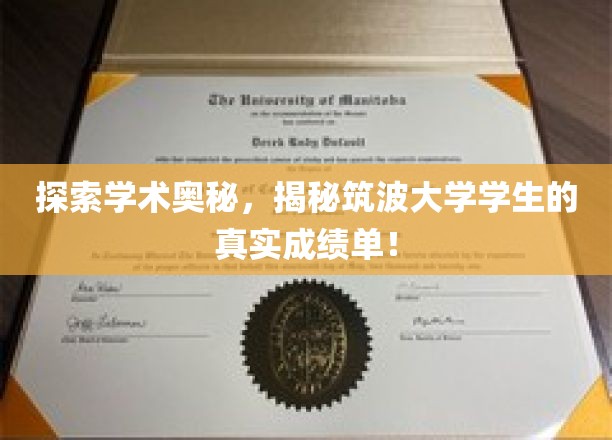 探索学术奥秘，一窥筑波大学学生的真实成绩单！
