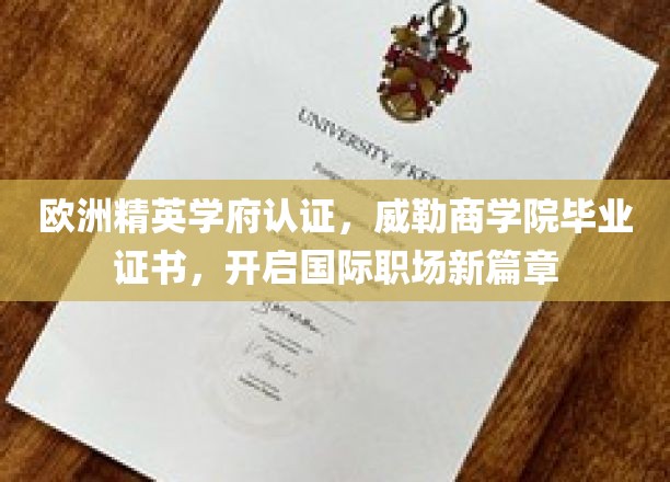 跨国职场通行证，威勒商学院精英认证，引领国际就业新航向